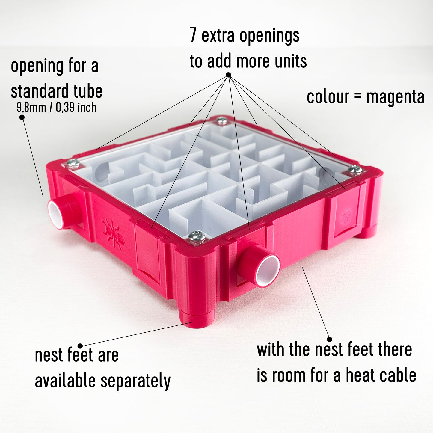 Ant labyrinth (10x10cm) with white interior Formicarium module