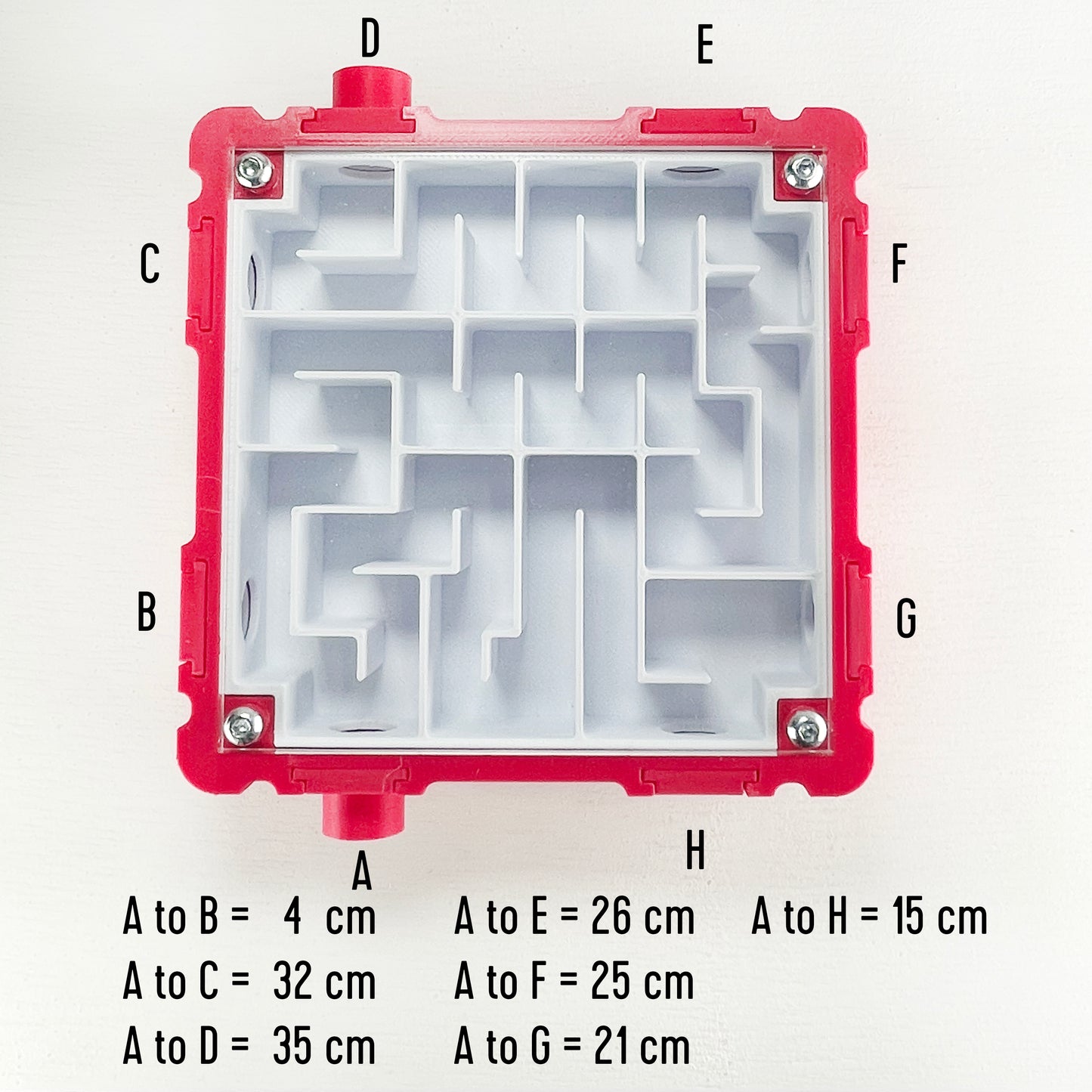 Ant labyrinth (10x10cm) with white interior Formicarium module