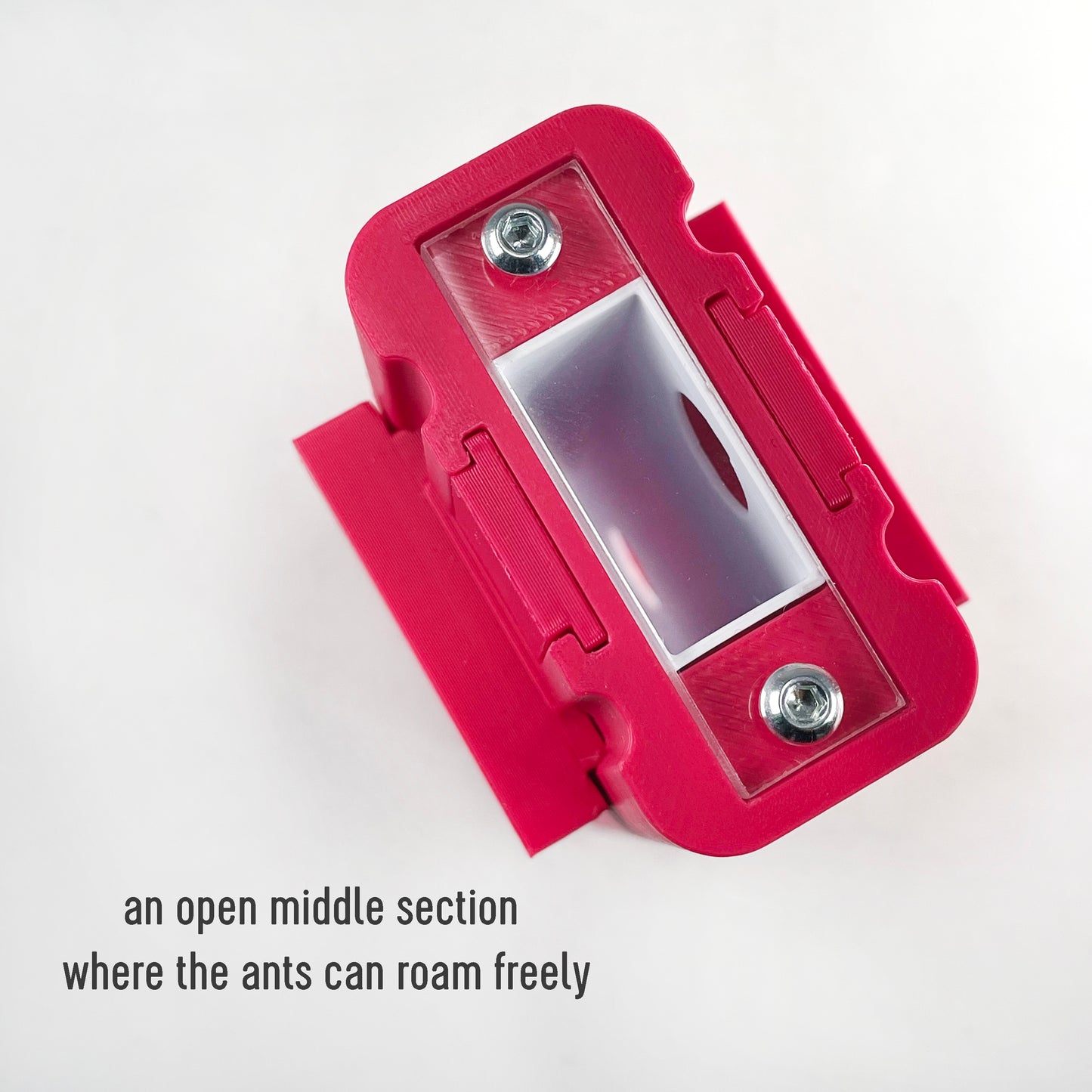 Ant Nest Elevation Module 2,5x5cm with white interior Formicarium module