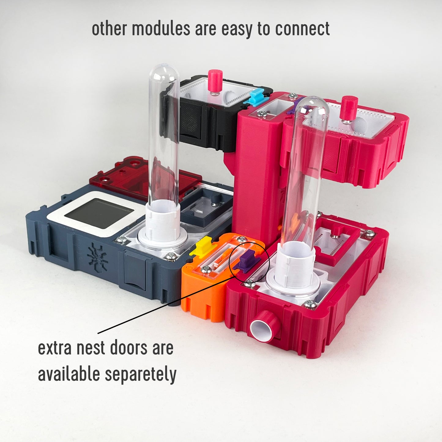 Ant Nest Elevation Module 2,5x5cm with white interior Formicarium module