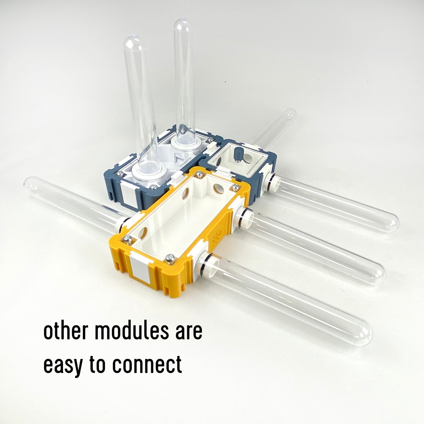 Ant Queen Founding 5x5 Module with Two Test Tubes