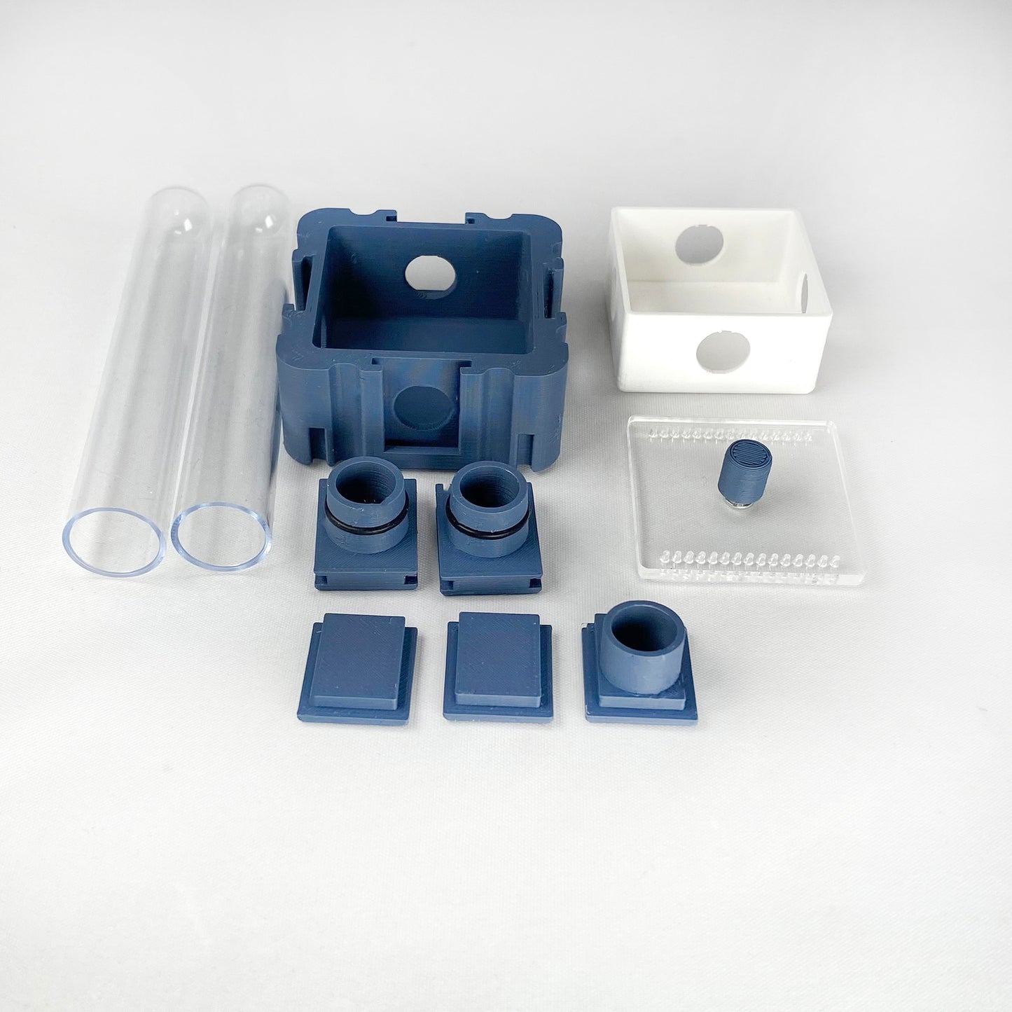Ant Queen Founding 5x5 Module with Two Test Tubes