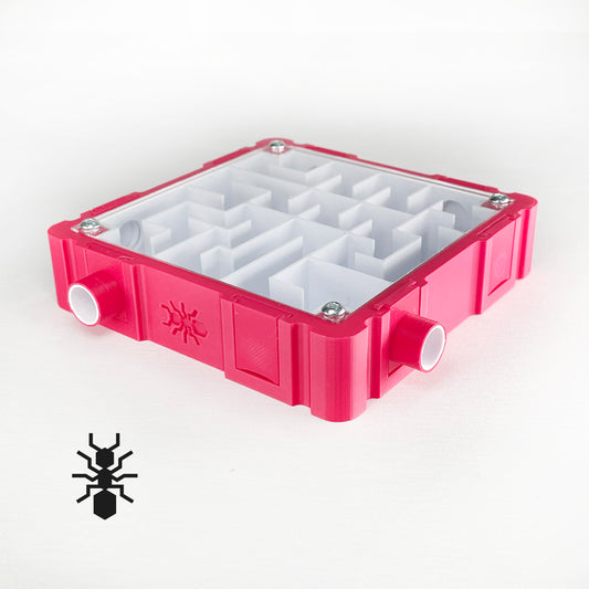 Ant labyrinth (10x10cm) with white interior Formicarium module