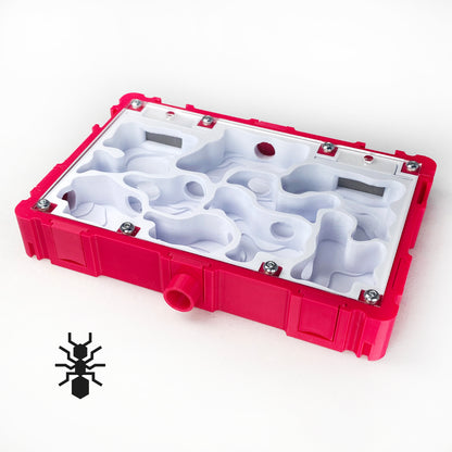 Ant Nest Natural Interior 10x15 Formicarium module