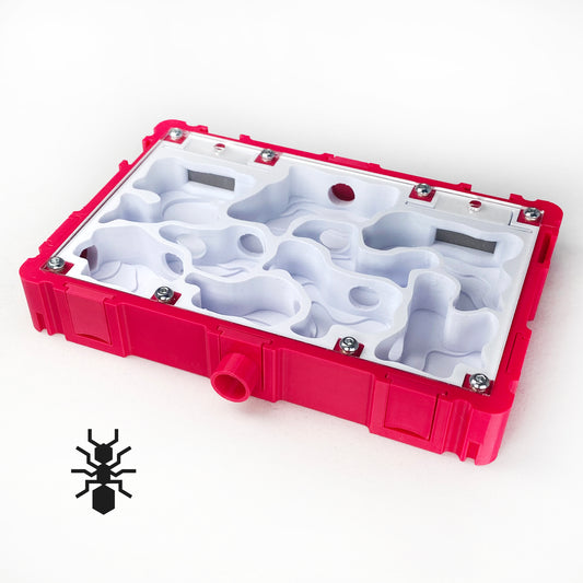 Ant Nest Natural Interior 10x15 Formicarium module