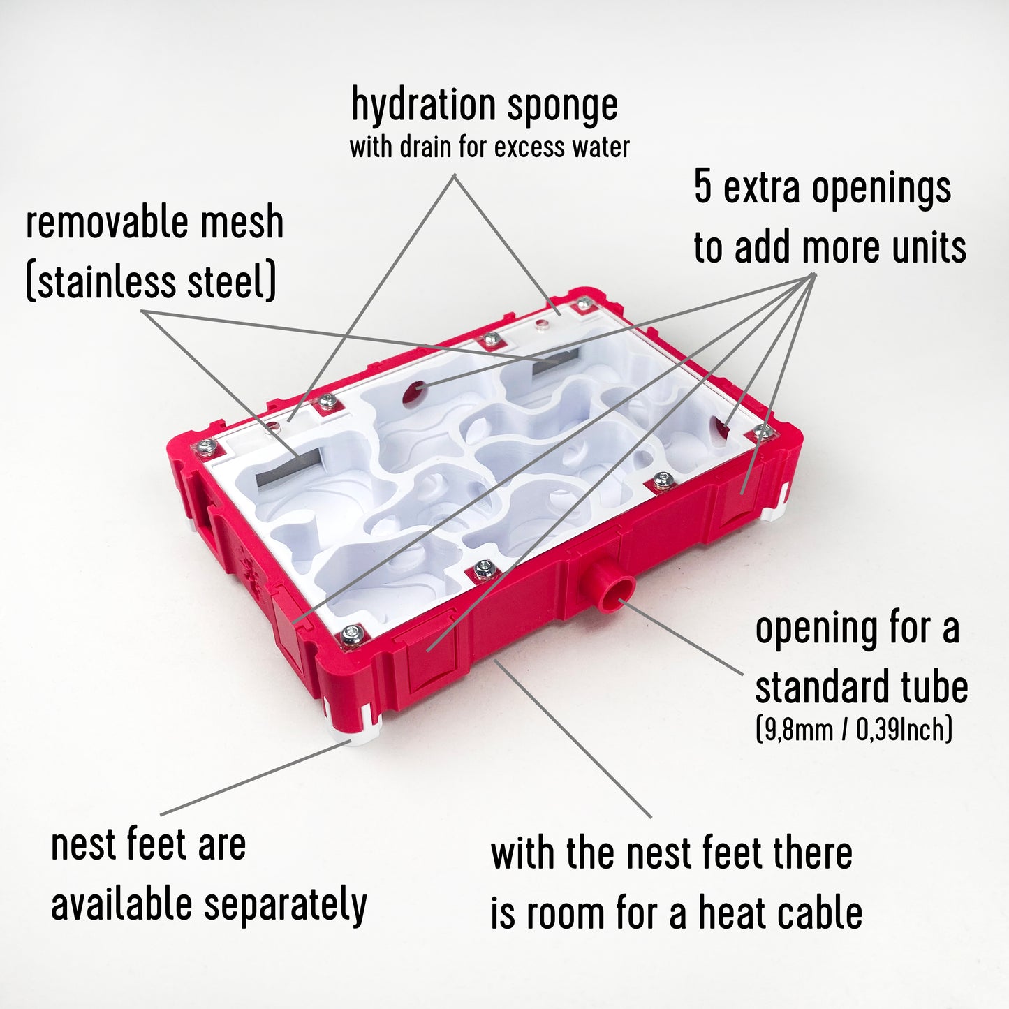 Ant Nest Natural Interior 10x15 Formicarium module