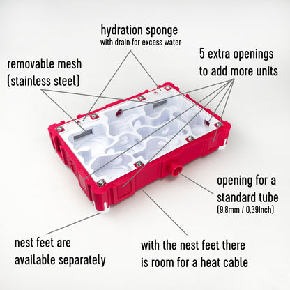 Ant Nest Natural Interior 10x15 Formicarium module