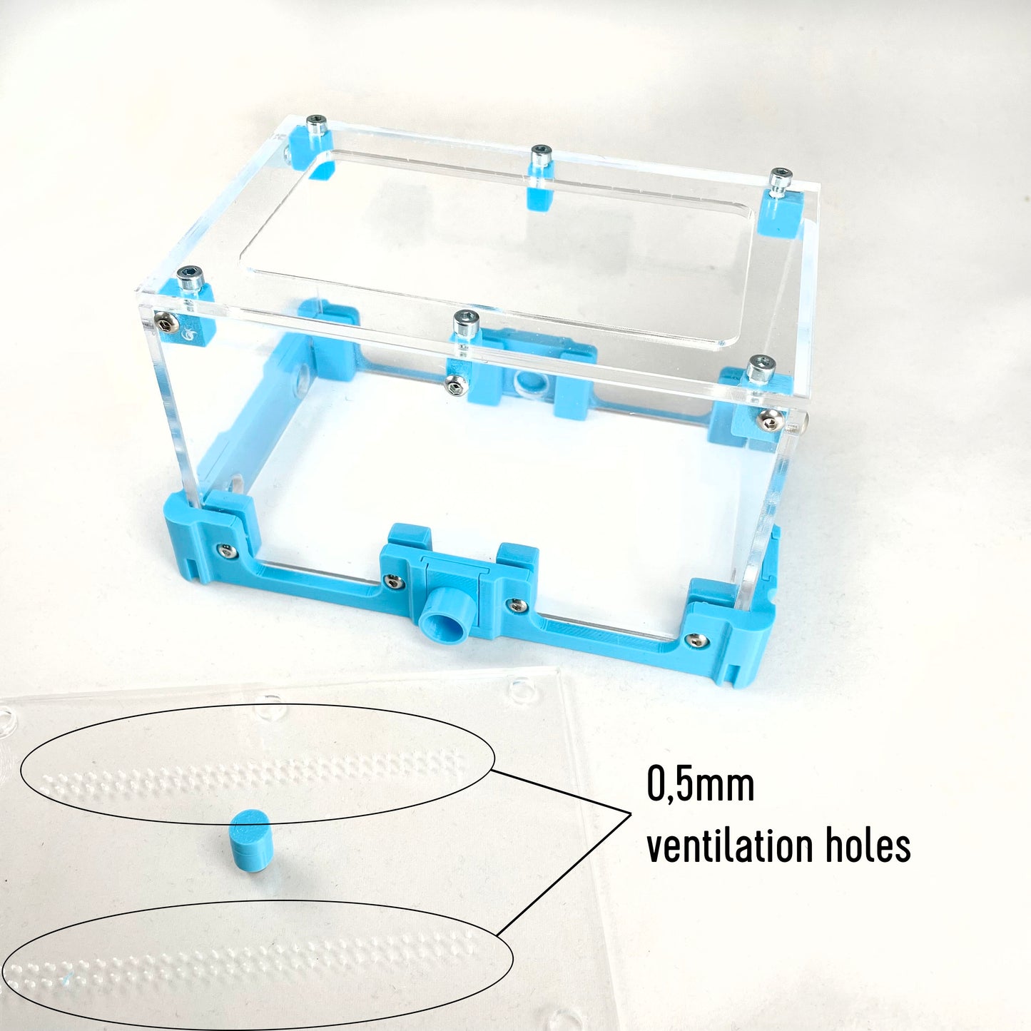 Ants large Outworld 10x15x8 Module | formicaria ant supplies | for hobby ant keepers