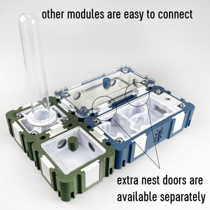 Ant Cork Nest Clean Inlay 5x10 Formicarium module