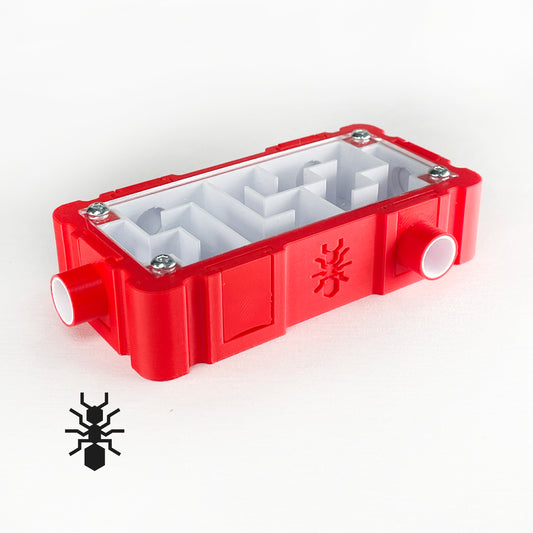 Ant labyrinth (5x10cm) with white interior Formicarium module