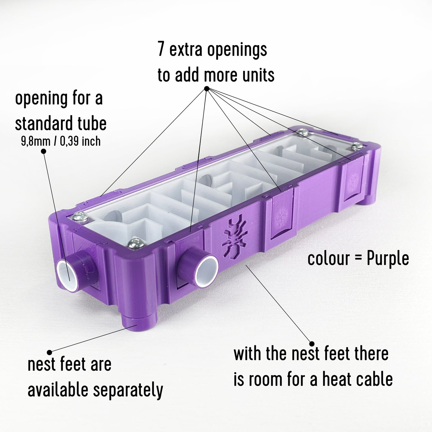 Ant labyrinth (5x15cm) with white interior Formicarium module