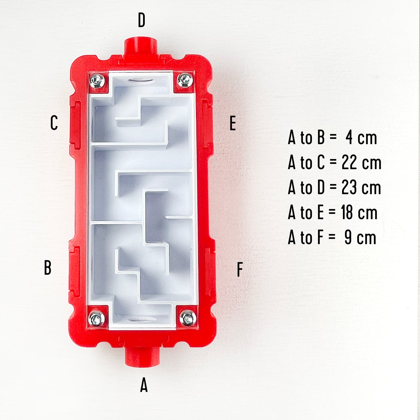 Ant labyrinth (5x10cm) with white interior Formicarium module