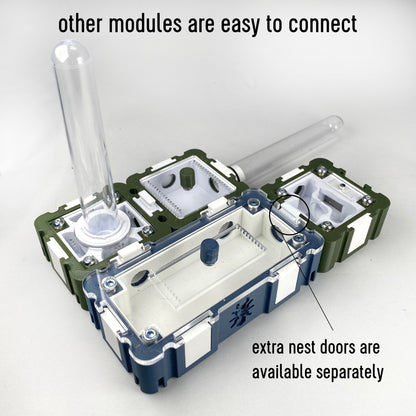 Ants 5x10 Outworld Module