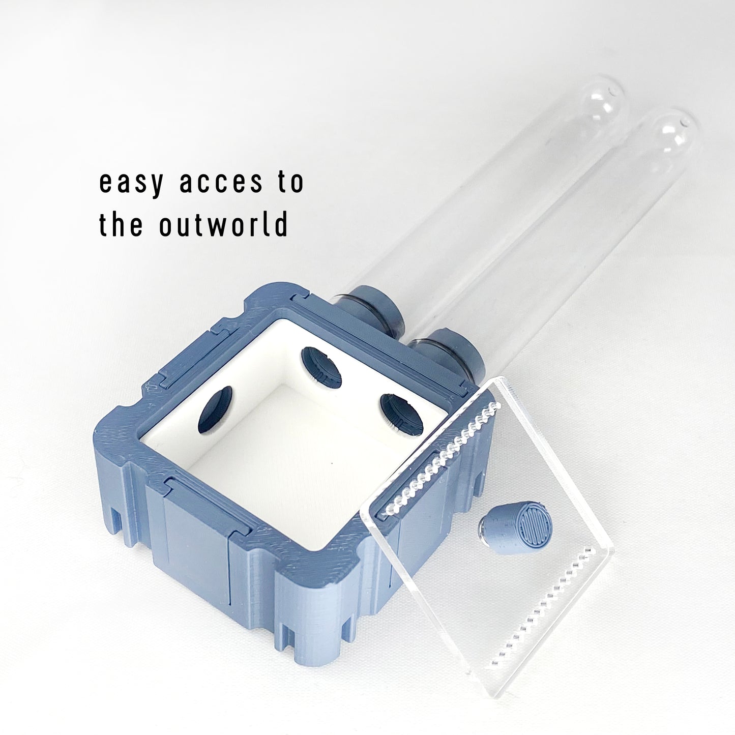 Ants Small Outworld with Testtubes 5x5 Module | formicaria ant supplies | for hobby ant keepers