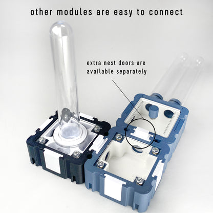 Ants Small Outworld with Testtubes 5x5 Module | formicaria ant supplies | for hobby ant keepers