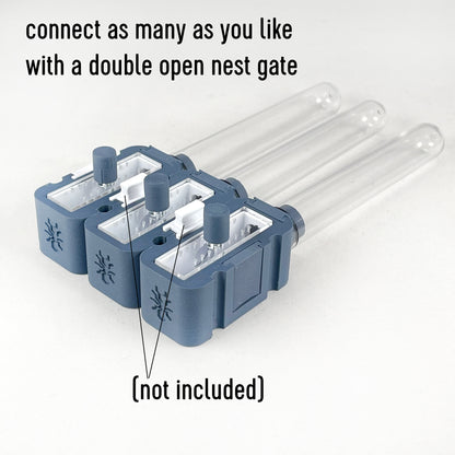 Ant Queen Founding Pod 2,5x5 Module with One Test Tube