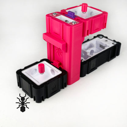 Ant Nest Elevation Module 2,5x5cm with white interior Formicarium module