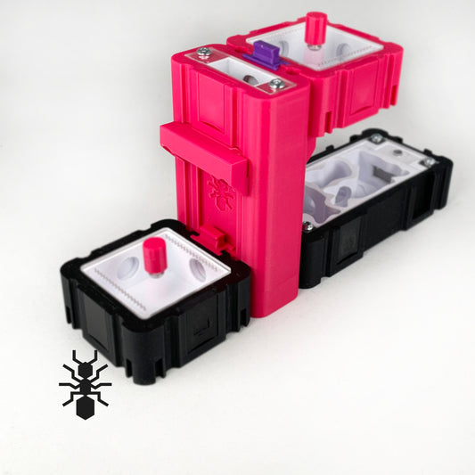 Ant Nest Elevation Module 2,5x5cm with white interior Formicarium module