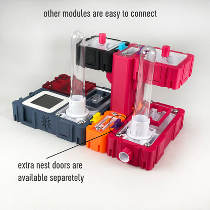 Ant Nest Elevation Module 2,5x5cm with white interior Formicarium module