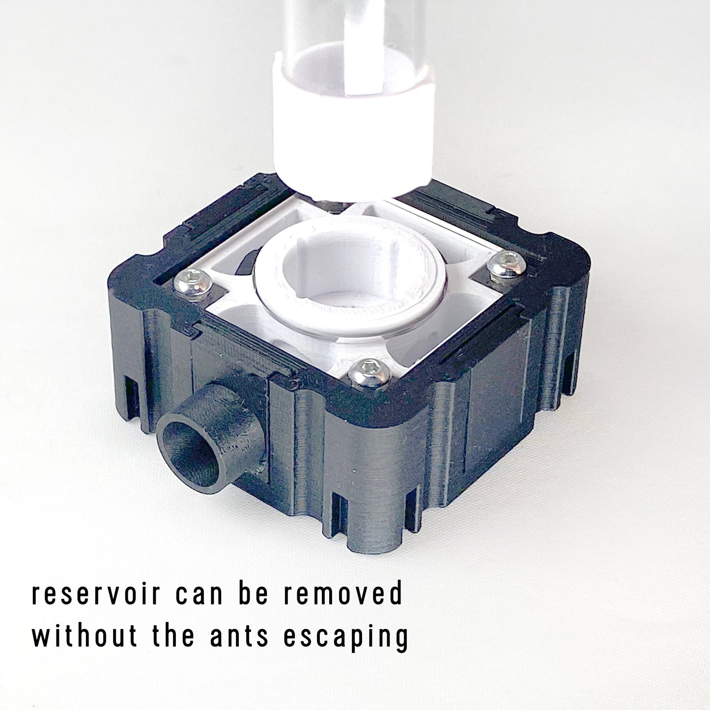 Ant Drink Hub 5x5 Module Test Tube Gravity Feeder