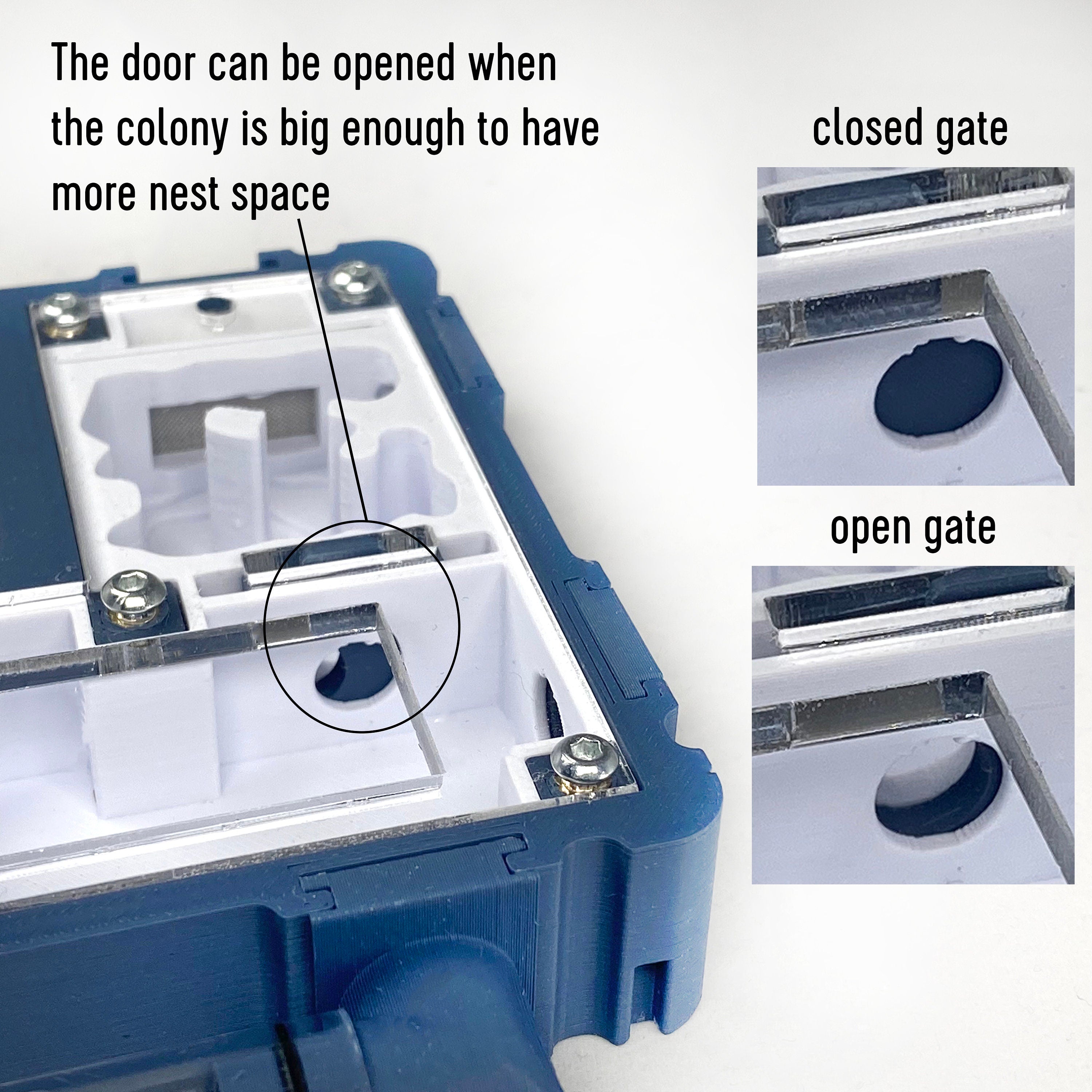 UN —under nest— Medium Flex Nest – The Crafting Ant