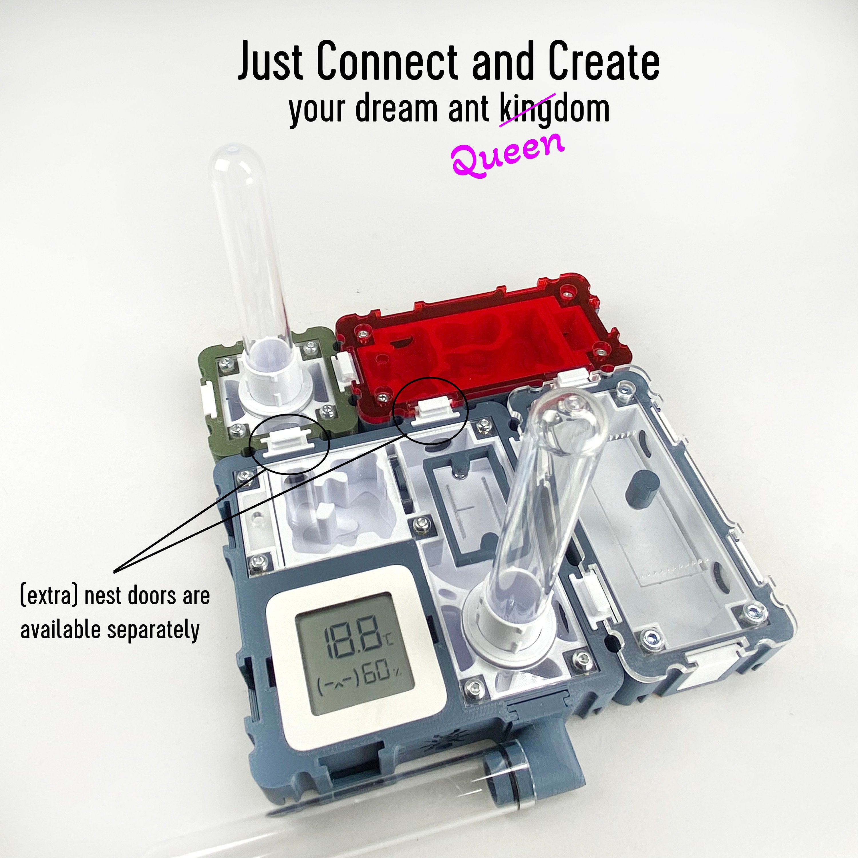 Ant Complete Starter nest with temp sensor and drink unit x10