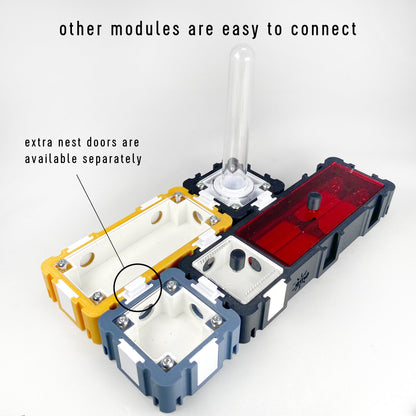 Ants Founding Nest With Small Outworld en red cover lid Modular System multiple color options 3D printed formicarium by Black Ant Creation