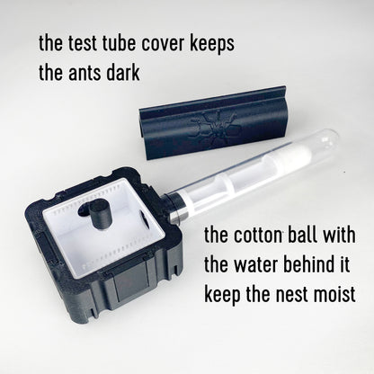 Ant Nest Small V3 With Temperature and Humidity Sensors Multiple Color  Options 3D Printed Formicarium by Black Ant Creation 